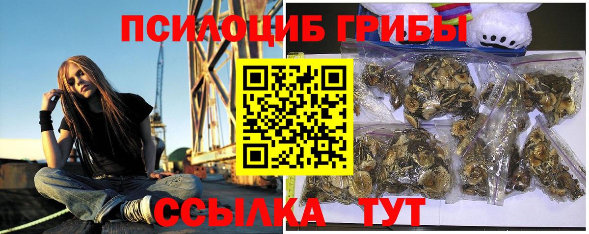 Галлюциногенные грибы Psilocybine cubensis Алатырь